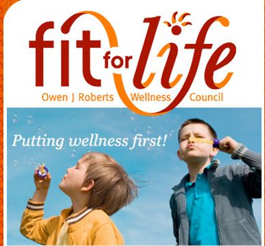 FFL logo 